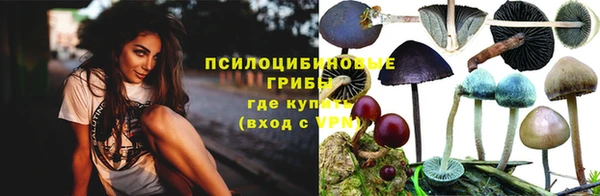 крисы Алзамай