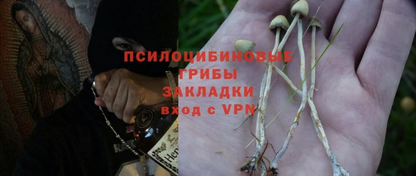 трава Алексин