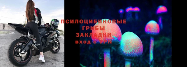 крисы Алзамай
