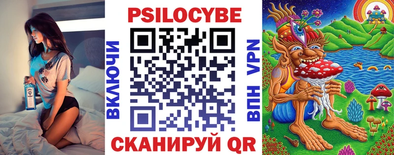 Галлюциногенные грибы Psilocybe  Купить где  Зуевка 